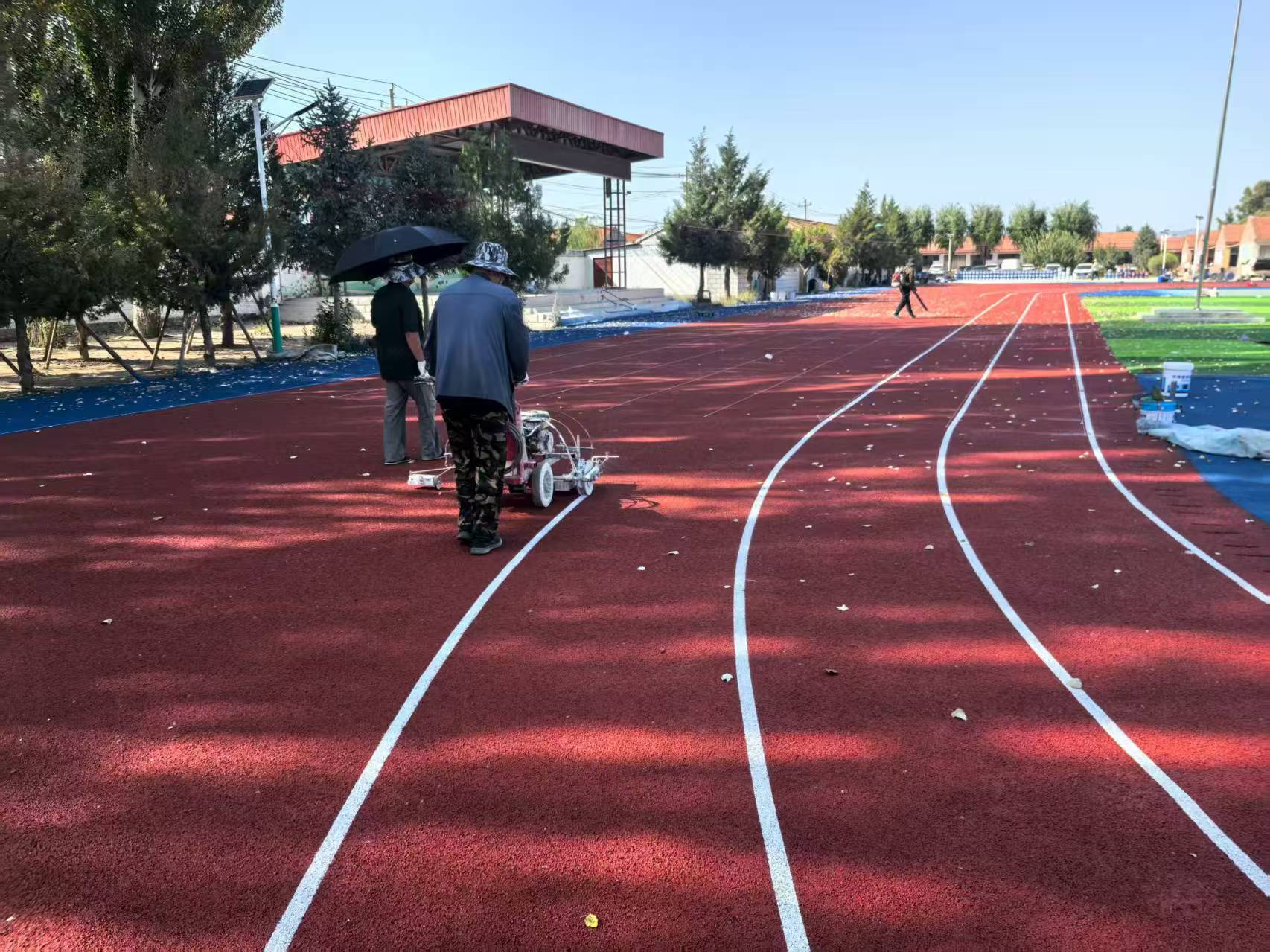 郴州市EPDM塑胶跑道塑胶跑道材料 - 方案